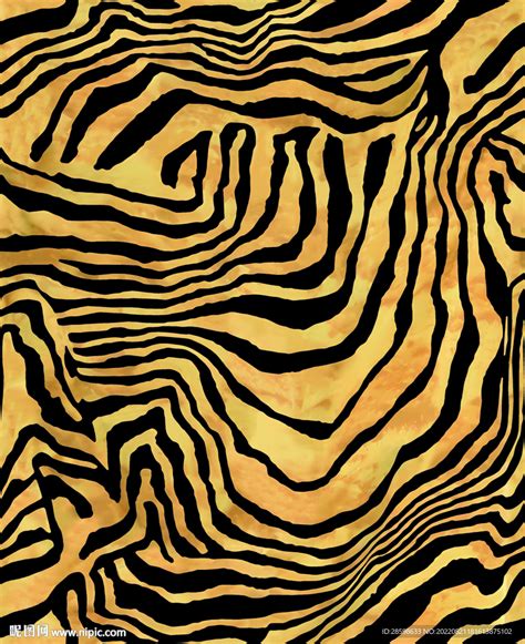 斑纹角马 的图像结果