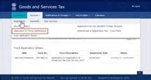 Filing Clarification in GST Registration: Step by Step Guide