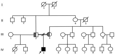 SORL1 as a Putative Candidate Gene for a Novel Recessive Form of ...