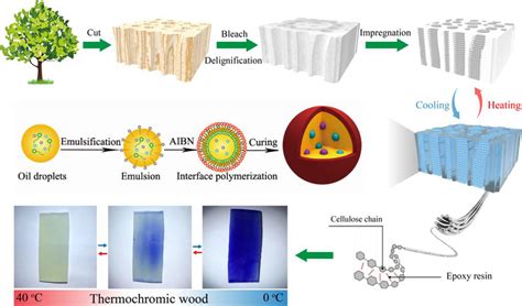RTM Tutorial 的图像结果