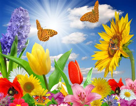 Spring Flower Desktop Backgrounds - Wallpaper Cave