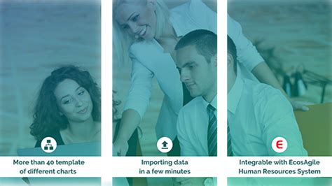 Image result for OrgPlus Org Chart