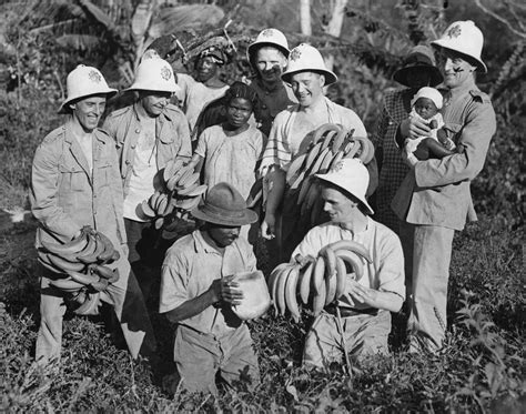 Republic Examples 的图像结果