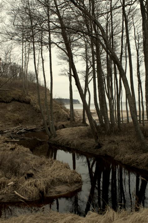 Seaside 的图像结果