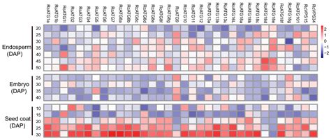 Genomic Characterization and Expressional Profiles of Autophagy-Related ...
