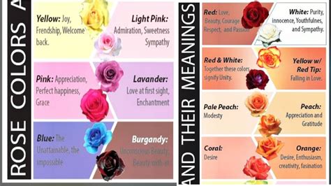 ROSE COLORS AND THEIR MEANINGS Color Meanings, Rose Color, 43% OFF
