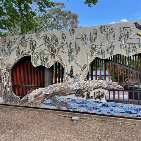 MYRTLEFORD MOSAIC TRAIL (2026) All You Need to Know BEFORE You Go (w ...