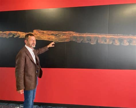 Museum of the Flooded Shrines of the Mologa Region (Rybinsk) - All You ...