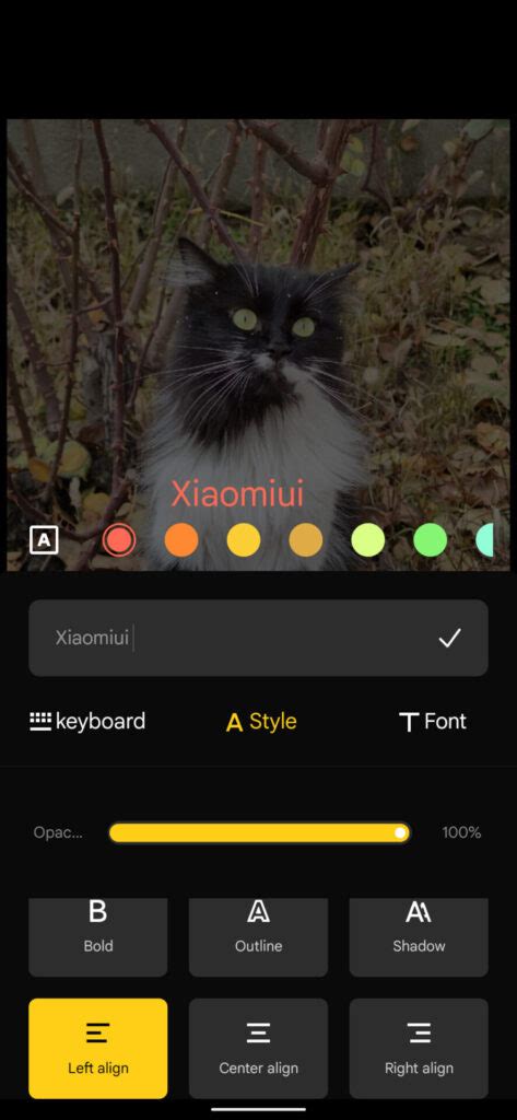 MIUI 13 Tutorial 的图像结果