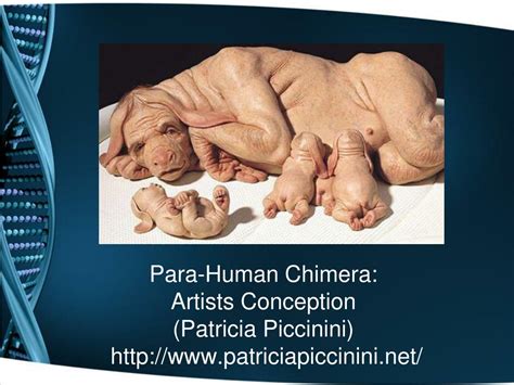 Bioethics 的图像结果