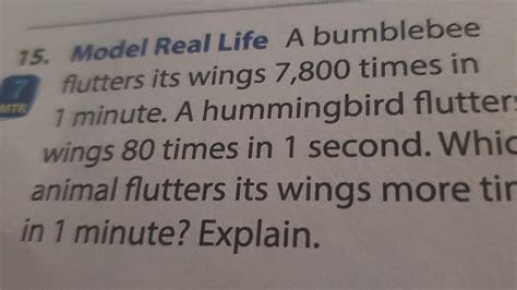 Solved 1 minute. A hummingbird flutters wings 80 times in 1 | Chegg.com