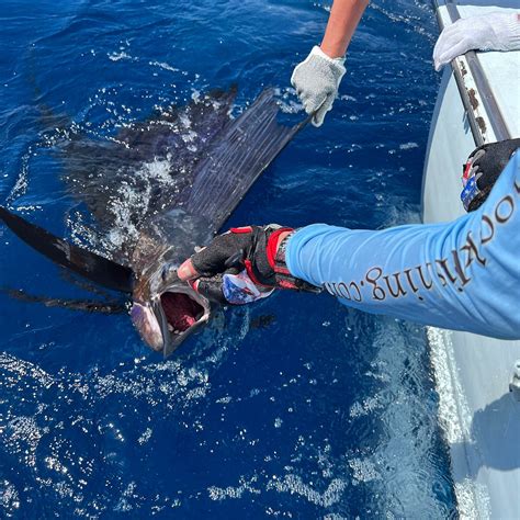 CAPTAIN HOOK FISHING CHARTERS GUATEMALA (2025) All You Need to Know ...