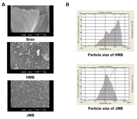 Foods | Special Issue : Nutrition and Quality of Wheat and its Products