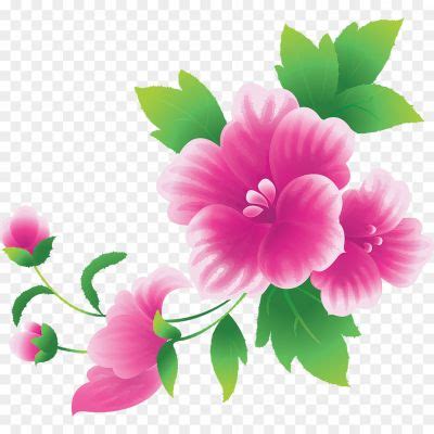 Clip Art Flower Transparent Image - Pngsource