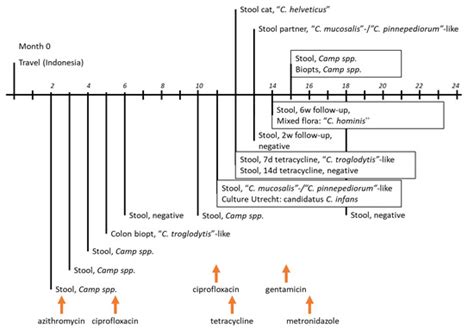 A Case of Persistent Diarrhea in a Man with the Molecular Detection of ...