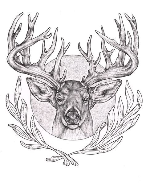Image result for Buck Drawing Tutorial