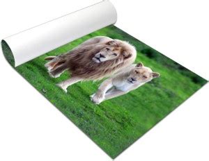 Beautiful Lion Family Paper Print - Animals posters in India - Buy art ...