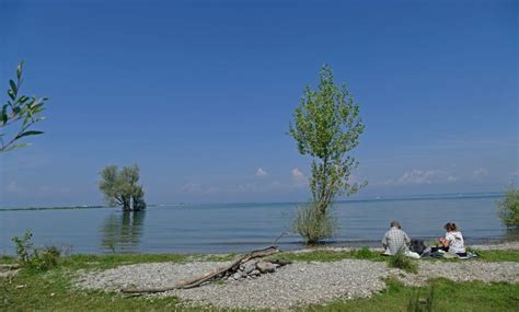 Campingplatz Rohrspitz Salzmann | Urlaub am Bodensee, Vorarlberg