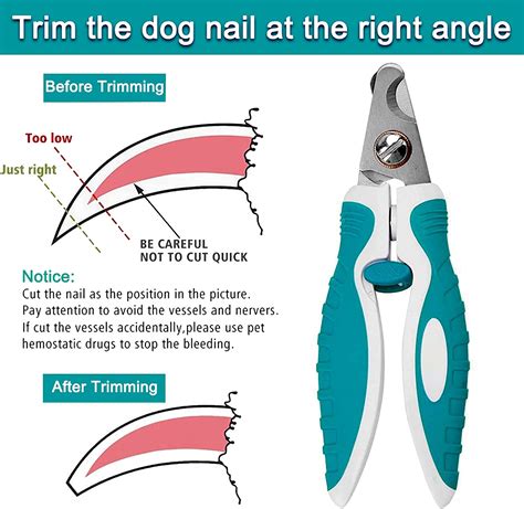 What Is The Correct Angle To Cut A Dogs Nails