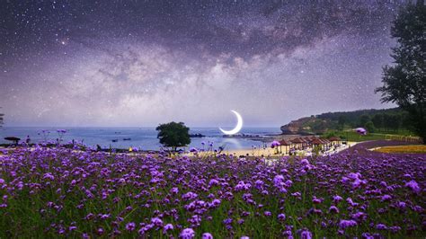 Beach Surreal Scenery K Wallpaper - Photo #28223 - Free 3D Models ...