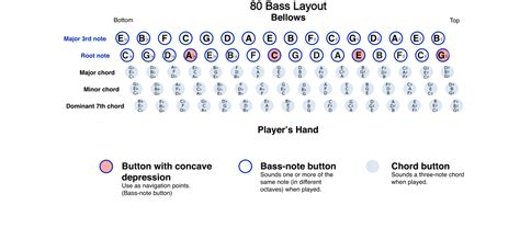 Accordion Finger Chart 的图像结果