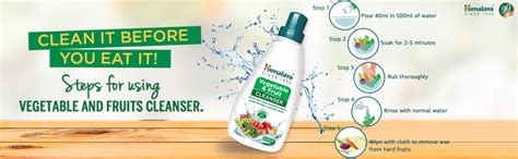 Himalaya Vegetable & Fruit Cleanser 500ml (pack of 2) : Amazon.in: Beauty