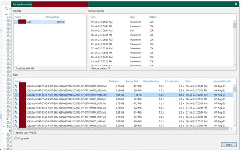Image result for Veeam Backup SQL