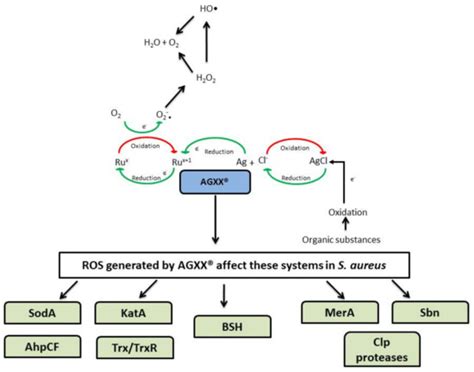 Antimicrobials Functioning through ROS-Mediated Mechanisms: Current ...