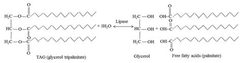 Figure 1. Lipase catalyzed reaction