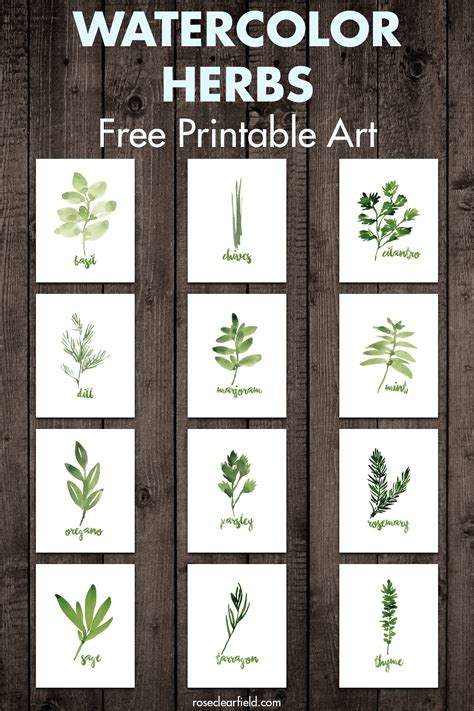 Printable Herbs