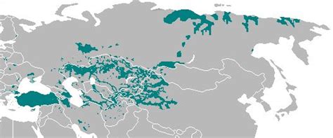 Turkic language map3 - Кыпчакские языки — Википедия | Язык
