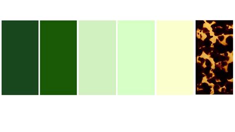 Image result for Basic Color Palette