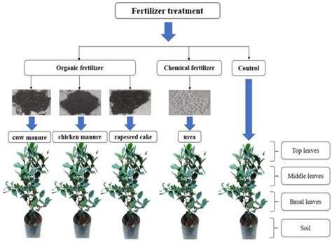 Plants | Special Issue : Chemical Analysis / Biological Functions of Tea