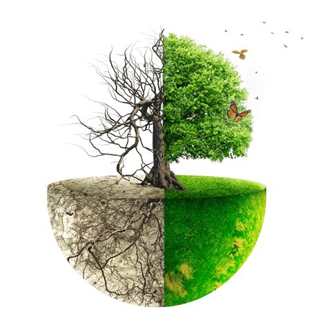 India Climate Summit 2024