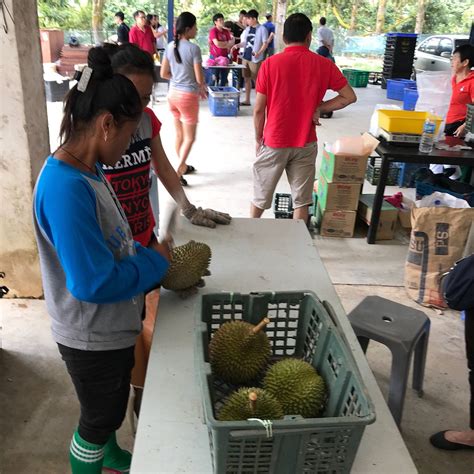 ZHONG CHENG DURIAN FARM - All You SHOULD Know Before Going 2026 (with ...