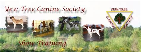 Yew Tree Canine Society ringcraft and Match Night , The Newstead Centre ...