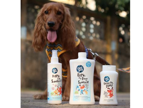 Importance of Pet Sanitization