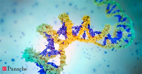 DNA can't explain all inherited traits - The Economic Times