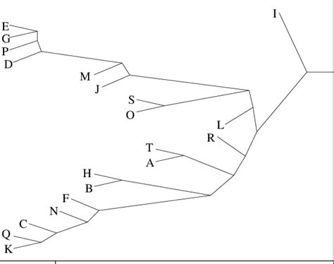 Image result for Dynamic Equilbrium Graph