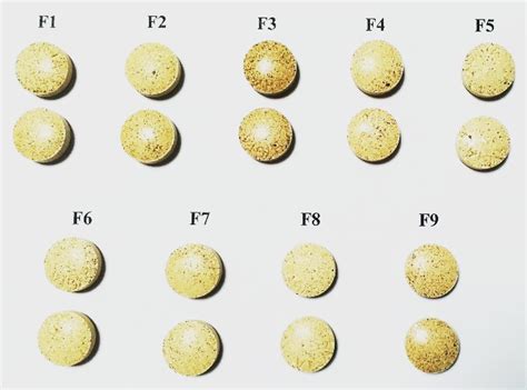Fig. 1: Physical appearance of polyherbal dispersible tablets