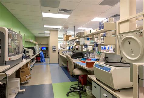 Image result for Hospital Lab Add