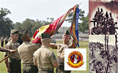 Decorated Marine Unit Dubbed "Walking Dead" Deactivated | War History ...