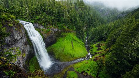 cascade, nature, united states, willamette national forest, body of ...