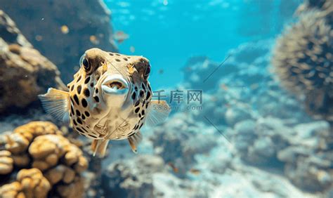Image result for A* Algorithm Program