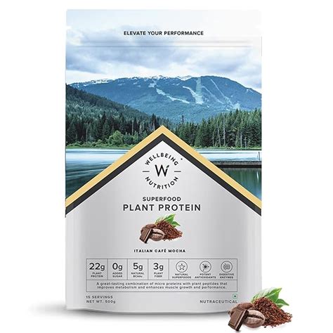 Wellbeing Nutrition Organic Vegan Plant Protein Isolate Powder | 22g ...