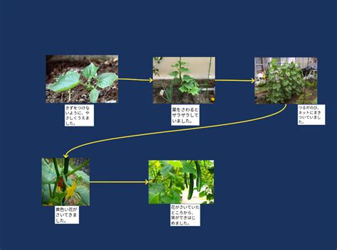 Image result for Refining Graph On Pyplot