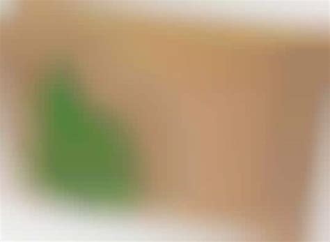 Seed-Embedded Packaging : Life box