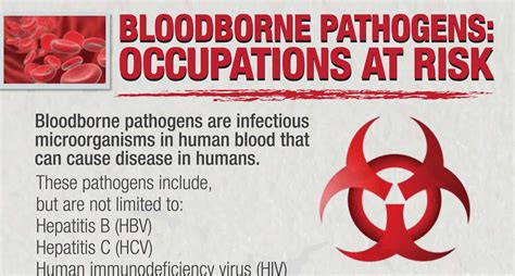 bloodborne-pathogens-infographic_edited – EMS Training, LLC | American ...