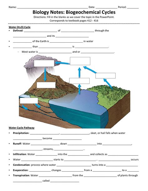 SOLUTION: S688 Human Impact On Biogeochemical Cycles Worksheet ... - Worksheets Library