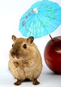 Image result for Examples of Good GUI